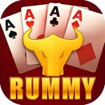 Rummy Bharat App Download